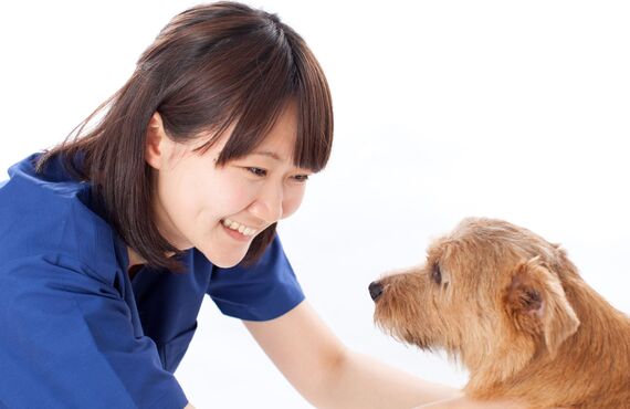 犬について何でも相談できる雰囲気 | 西宮のペットシッターはペットアクティブライフSanta