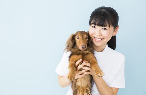 愛犬の介護の経験豊富なスタッフが在籍しています | 西宮のペットシッターはペットアクティブライフSanta